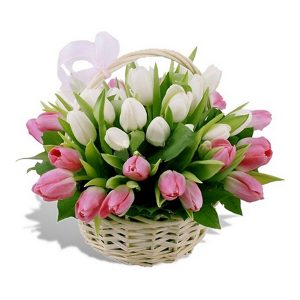 Mesaj de felicitare