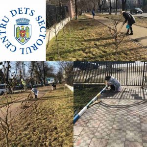 Salubrizarea teritoriilor din curțile instituțiilor de învățământ