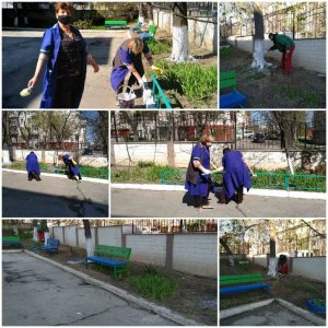 Ziua internațională a Pământului