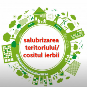 Salubrizarea teritoriului/cositul ierbii