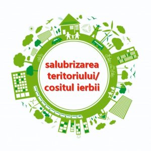 Salubrizarea teritoriului LTPA ”N.Sulac” sectorul Centru