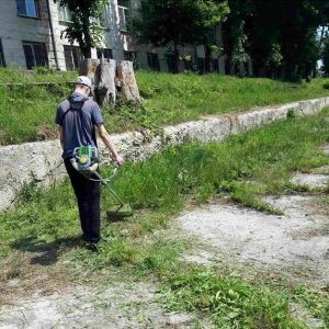 Salubrizarea teritoriilor aferente și adiacente instituțiilor
