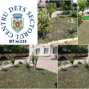Procesul de salubrizare a teritoriilor în IET nr.133