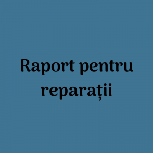 Raport pentru lucrările de reparație capitala, 01.01.2021-30.06.2021