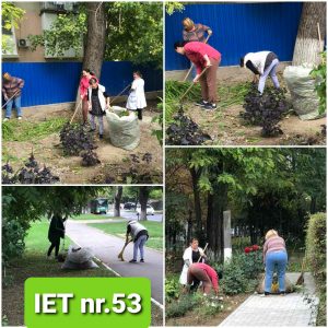 Campaniei de salubrizare de toamnă IET nr.53