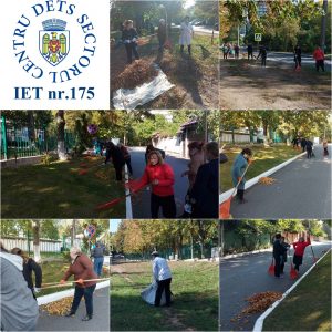 Salubrizarea teritoriului Grădinița nr 175