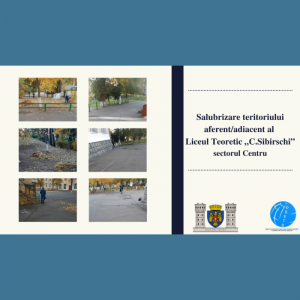 Monitorizarea procesului de salubrizare