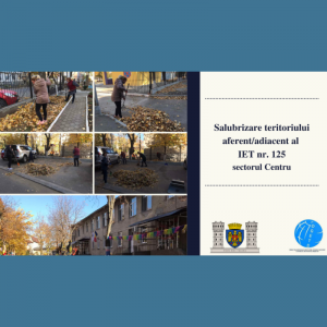 Monitorizarea procesului de salubrizare
