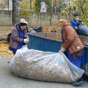 Procesul de salubrizare a teritoriului LT”T.Maiorescu”