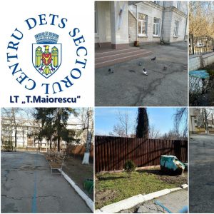 Implicarea activă în procesul de salubrizare a teritoriilor aferente și adiacente instituțiilor