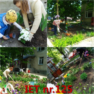 Procesul de desfășurare a salubrizării teritoriului aferent/adiacent, precum și plantarea florilor sezoniere pe terenul Grădiniței nr.125 din sectorul Centru