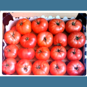 Organizarea alimentației copiilor în Instituția de educație timpurie nr.6