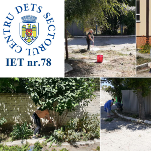 Salubrizarea teritoriului aferent și adiacent al Grădiniței nr. 78