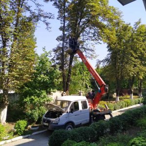 Lucrări de defrișare a arborilor uscați din cadrul Școlii auxiliare nr.5 sectorul Centru
