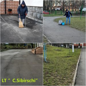 Acțiuni de salubrizare a teritoriilor aferente și adiacente instituțiilor