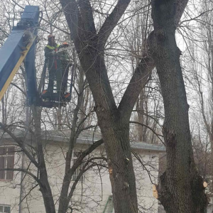 Lucrări de defrișare și curățare a arborilor uscați de pe teritoriile aferente și adiacente a IET nr. 92
