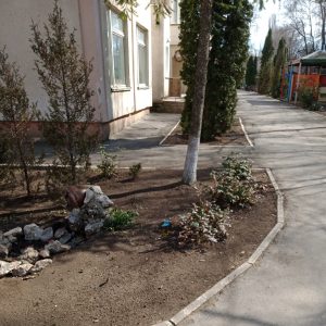 Angajații Grădiniței nr.227 au grijă ca teritoriul aferent și adiacent să fie mereu curat și îngrijit