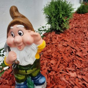 Aproape de final… IET nr. 46