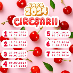 Graficul schimburilor în Tabăra ”Cireșarii”