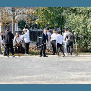 Zi ecologică la Liceul Teoretic ”Mihai Vitezul”
