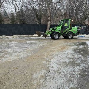 Continuă intervențiile de combatere a poleiului pe teritoriile instituțiilor educaționale din sectorul Centru