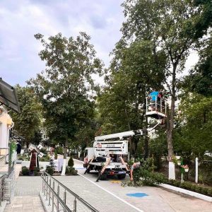 Lucrări silvotehnice pe teritoriul instituțiilor educaționale din sectorul Centru